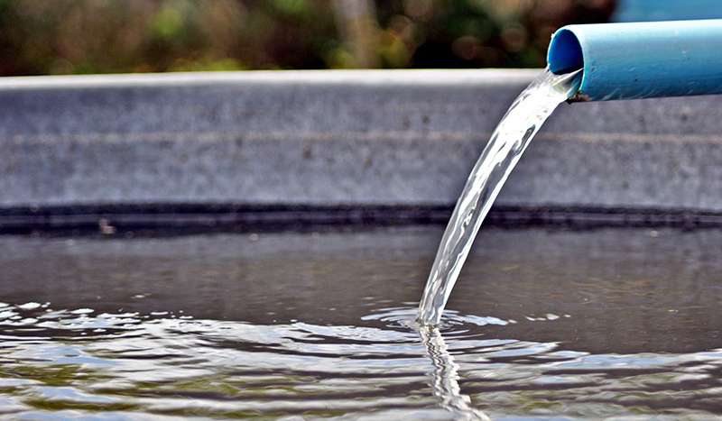 ARVAP divulga os representantes escolhidos para o Comitê de Regulação (2026/2028)